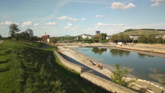 Ein Blick in Richtung Neckarhabitat